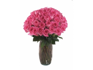 Soft Pink - 36 Stems In Vase